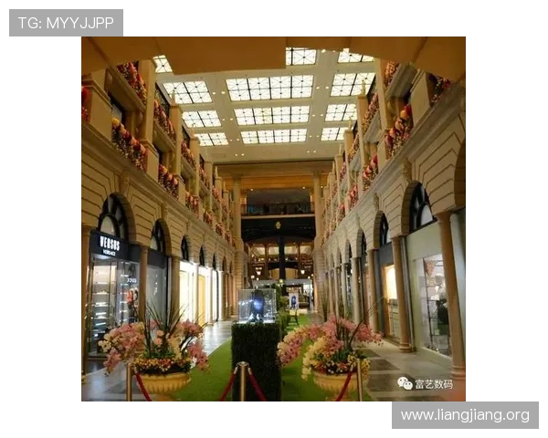 澳门巴黎人家庭旅游：适合全家出行的娱乐项目与亲子活动推荐