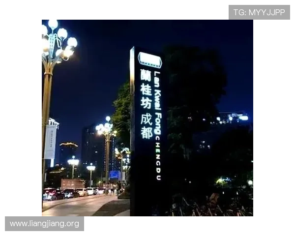 兰桂坊角子机娱乐场的安全保障措施与隐私保护政策，保障玩家权益的详细介绍